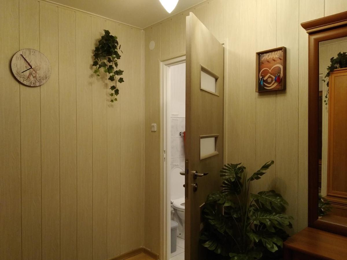 Mieszkanie W Centrum Chelma エクステリア 写真